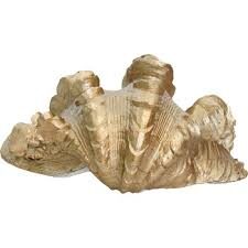 GOLD OYSTER SEA SHELL